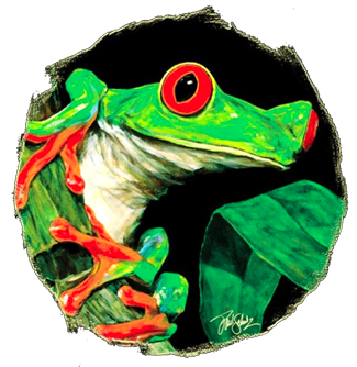 Paul Schulz - Frog
